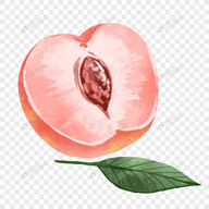 蜜糖直播APP应用